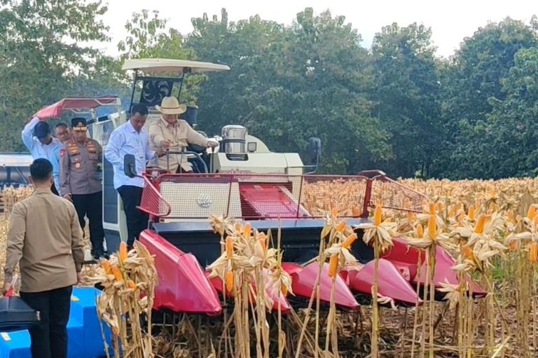 Panen Raya di Tuban, Presiden Prabowo Apresiasi Peran Polri Wujudkan Ketahanan Pangan Nasional